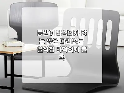 등받이 좌식의자 블랙, 바닥 생활 공 관련 이미지